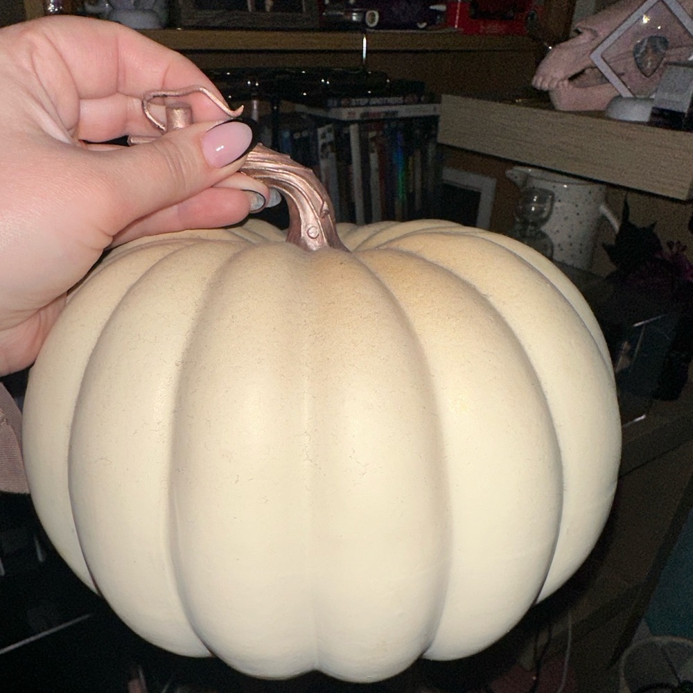 Pumpkin Decor Cream & Rose Gold